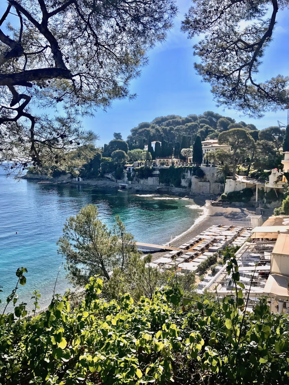 Four Seasons Cap Ferrat Review: Maximizing Guest Delight on the French Riviera