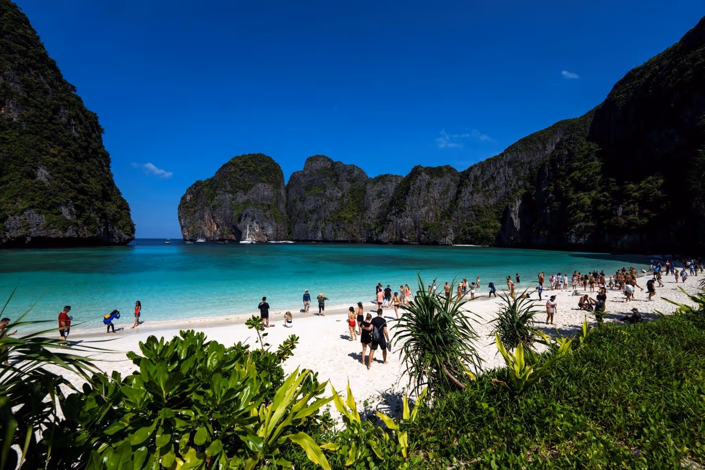 Thailand allows visitors back to beach made famous by movie | Reuters