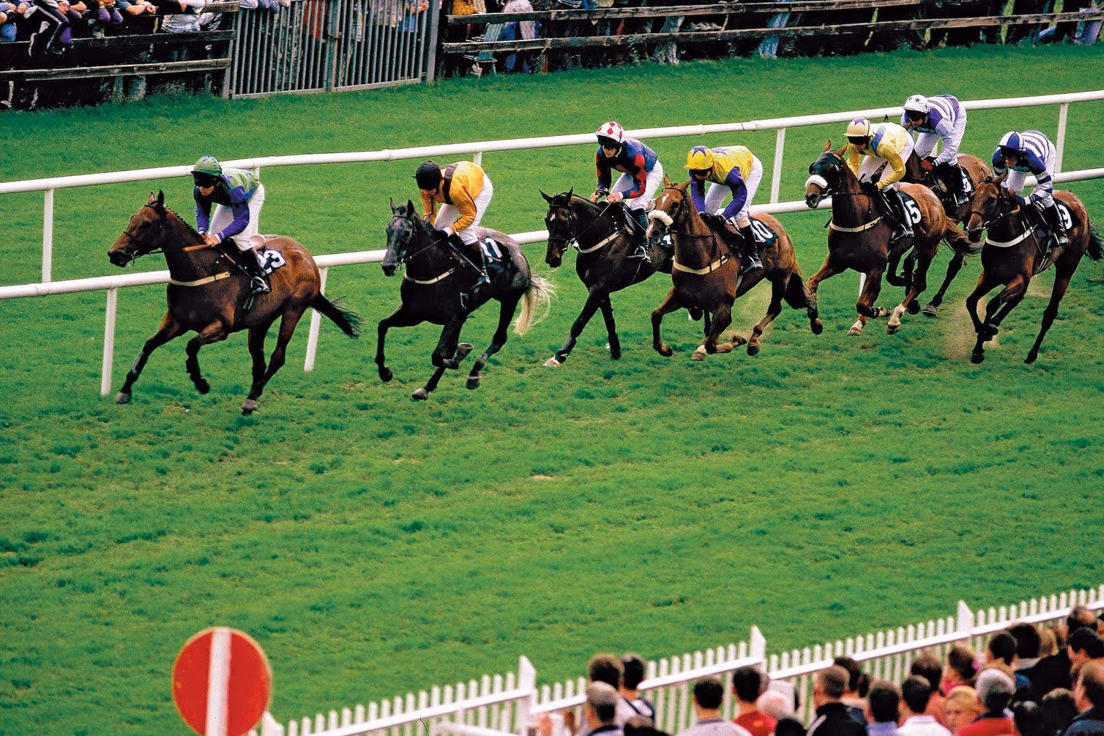 Horse racing - Breeding, Theory, Practice | Britannica
