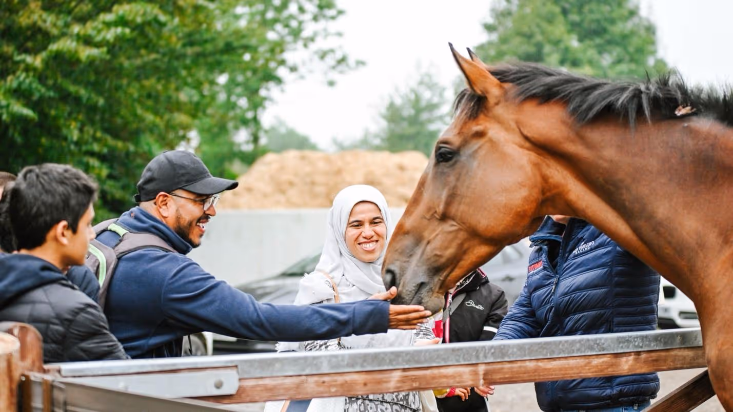 National Racehorse Week - Annual Racehorse Celebration
