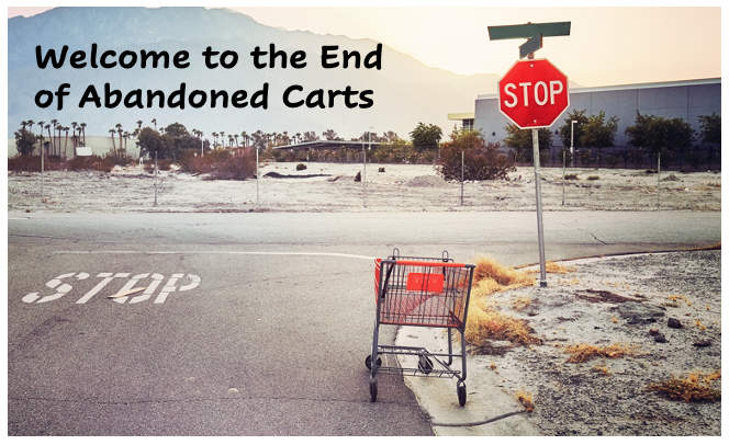 Frictionless Conversion strategy for your checkout process Part 2 of 2 – TheGenieLab