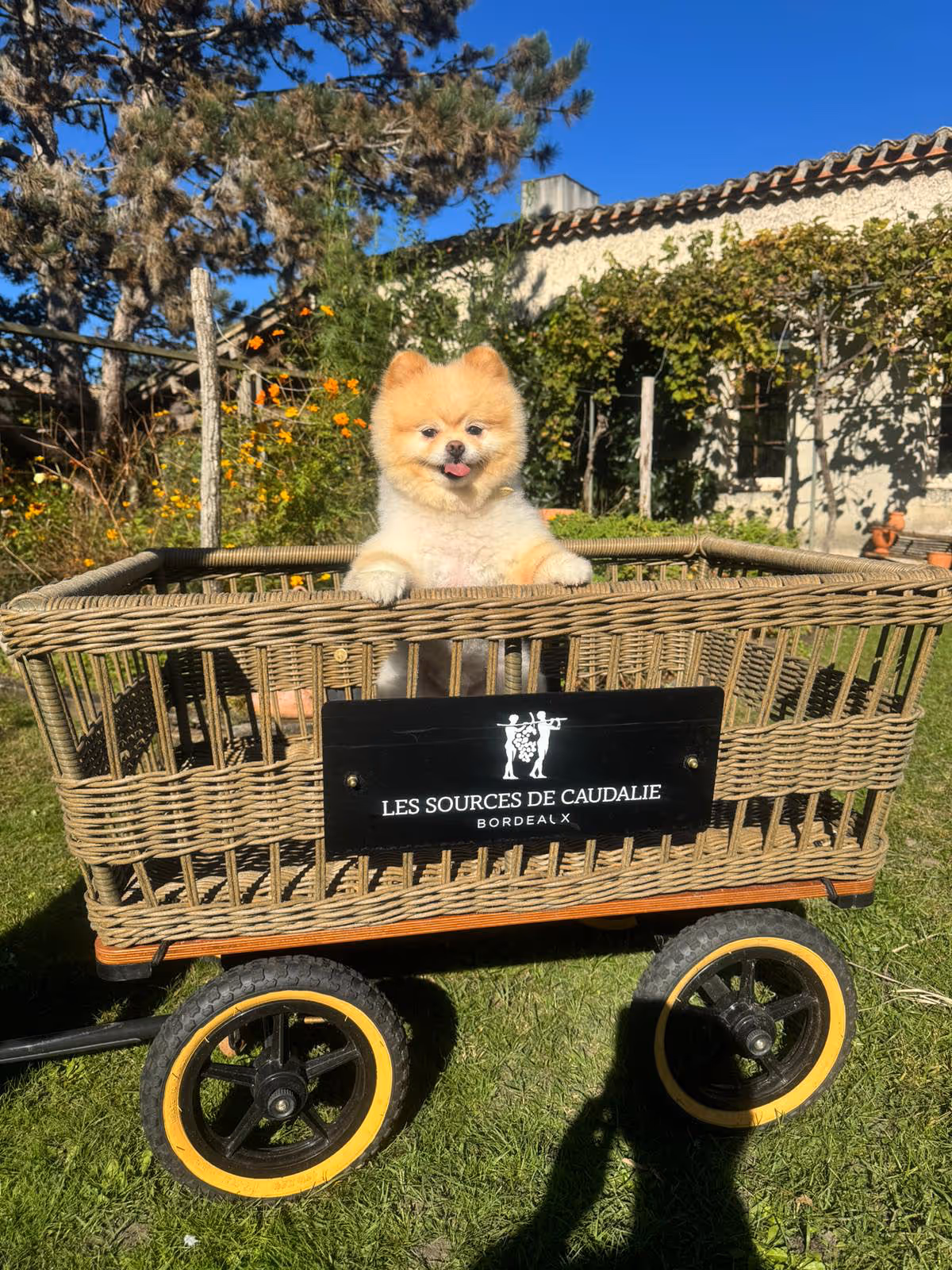 Les Sources de Caudalie, Bordeaux