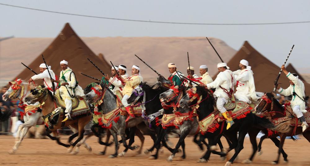 Saudi horses