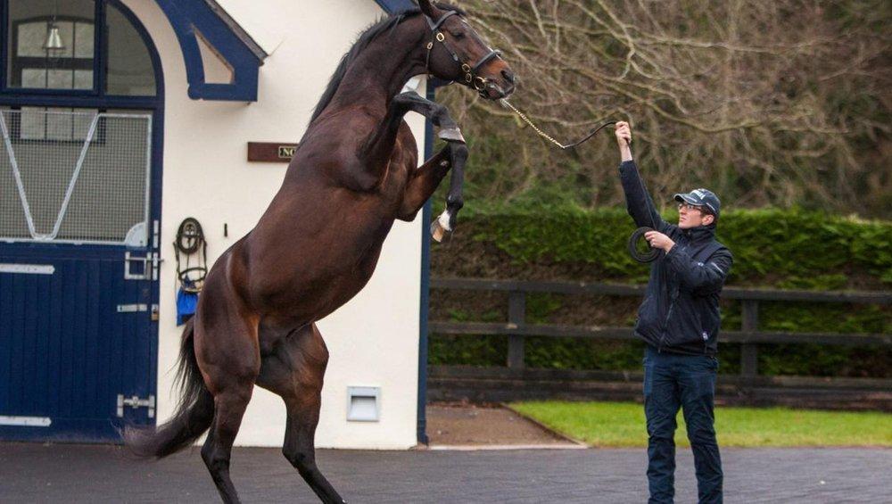 Coolmore Stud
