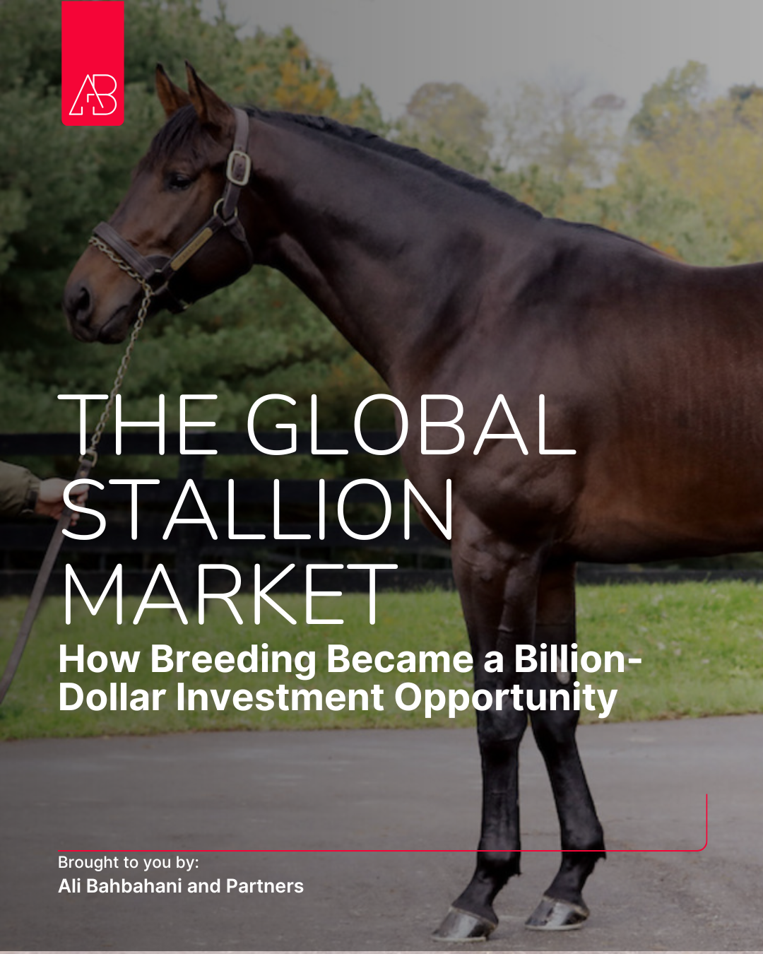 The Global Stallion Market