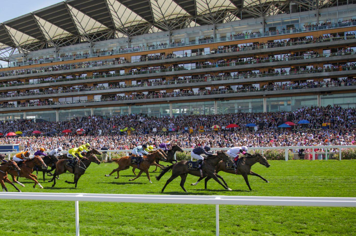 Horse Racing: A Personal Journey and Perspective