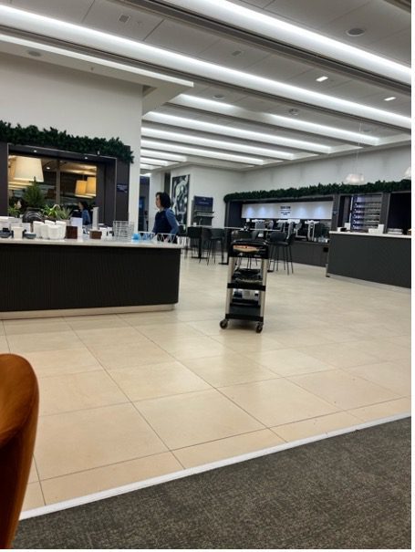 A Premium Airline in Need of a Customer-Centric Transformation