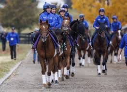 Enhancing the Customer Experience in Horse Racing:Standardizing Experiences Across Racetracks