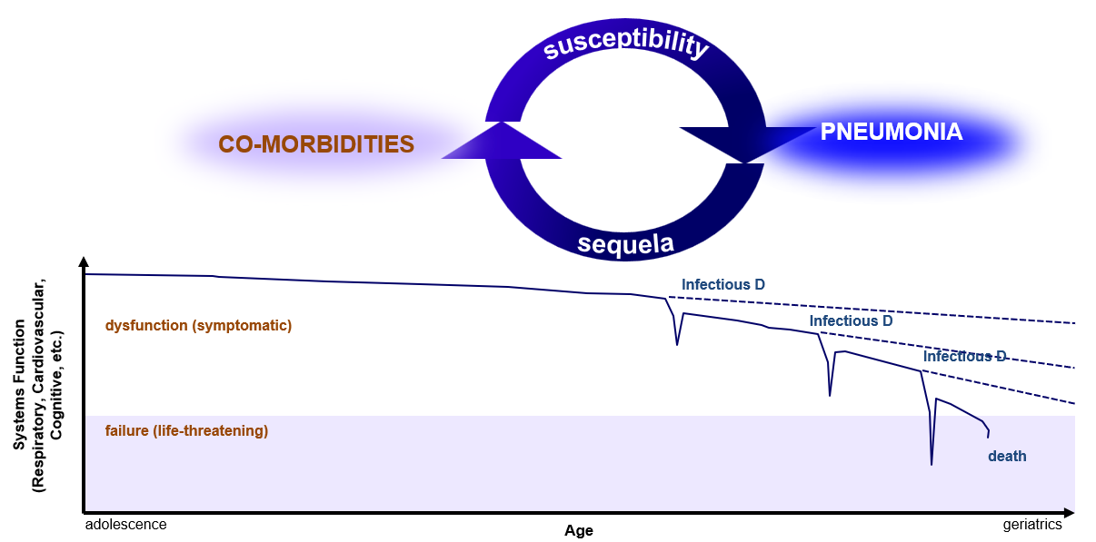 Conceptual diagram of the cycle between pneumonia and functional decline in older adults