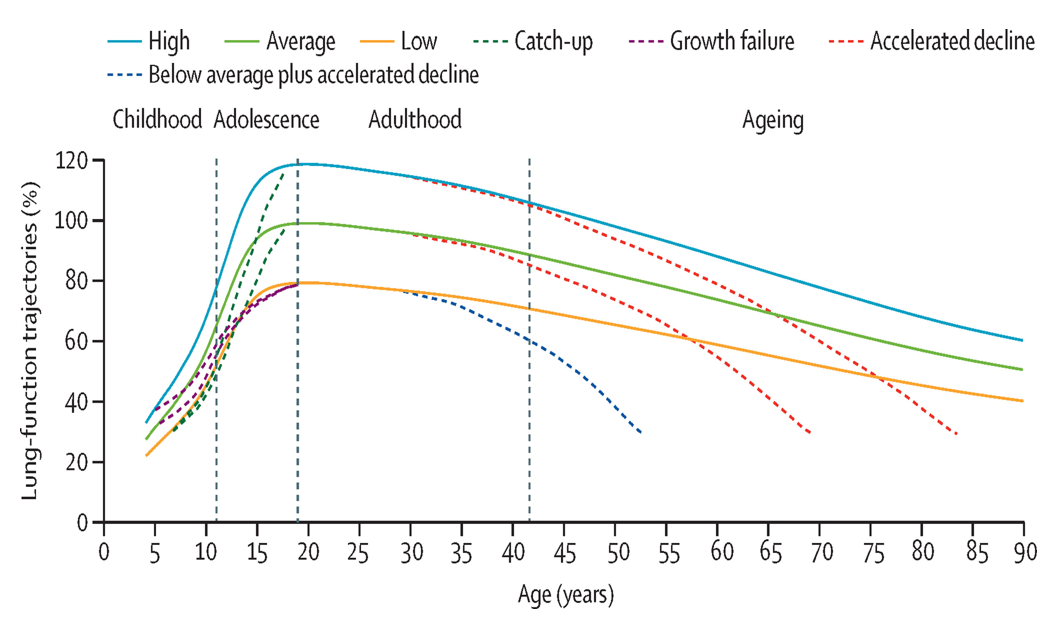 Life-course lung function trajectory curves from childhood to older age