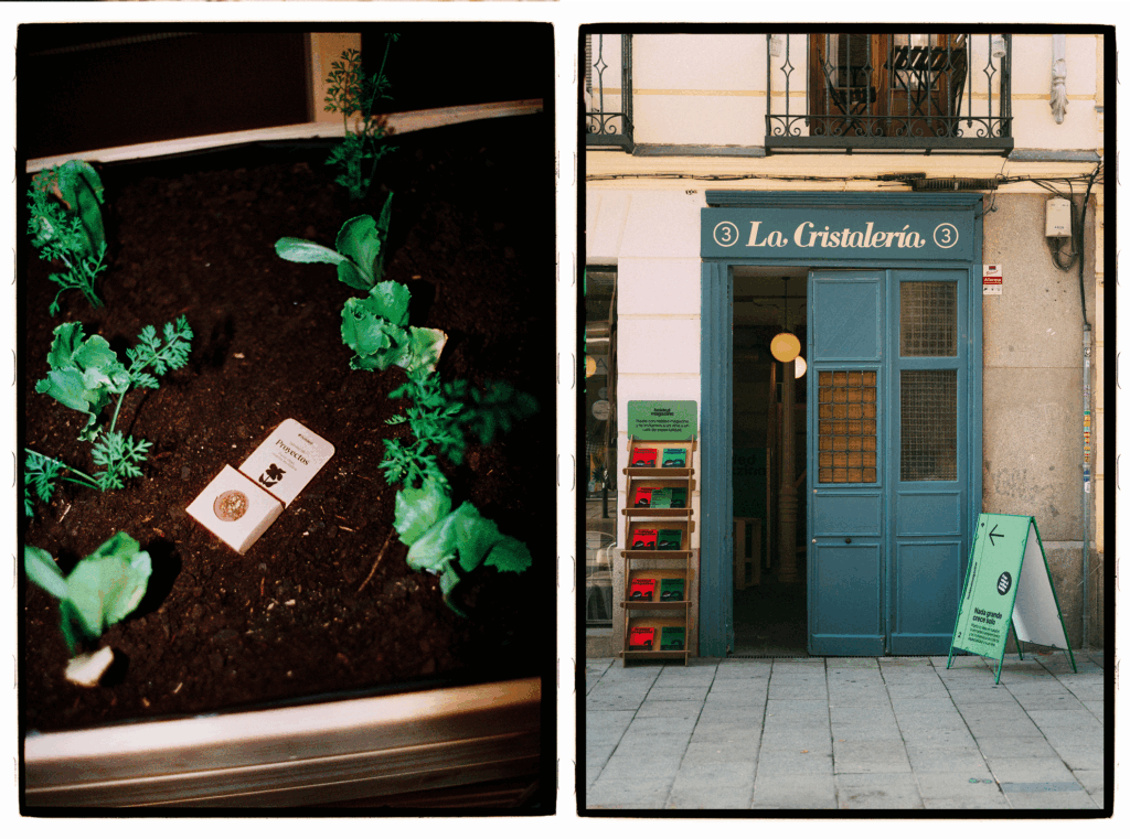 Invernadero Emprendedor