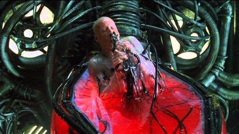 Matrix - Inmortalidad