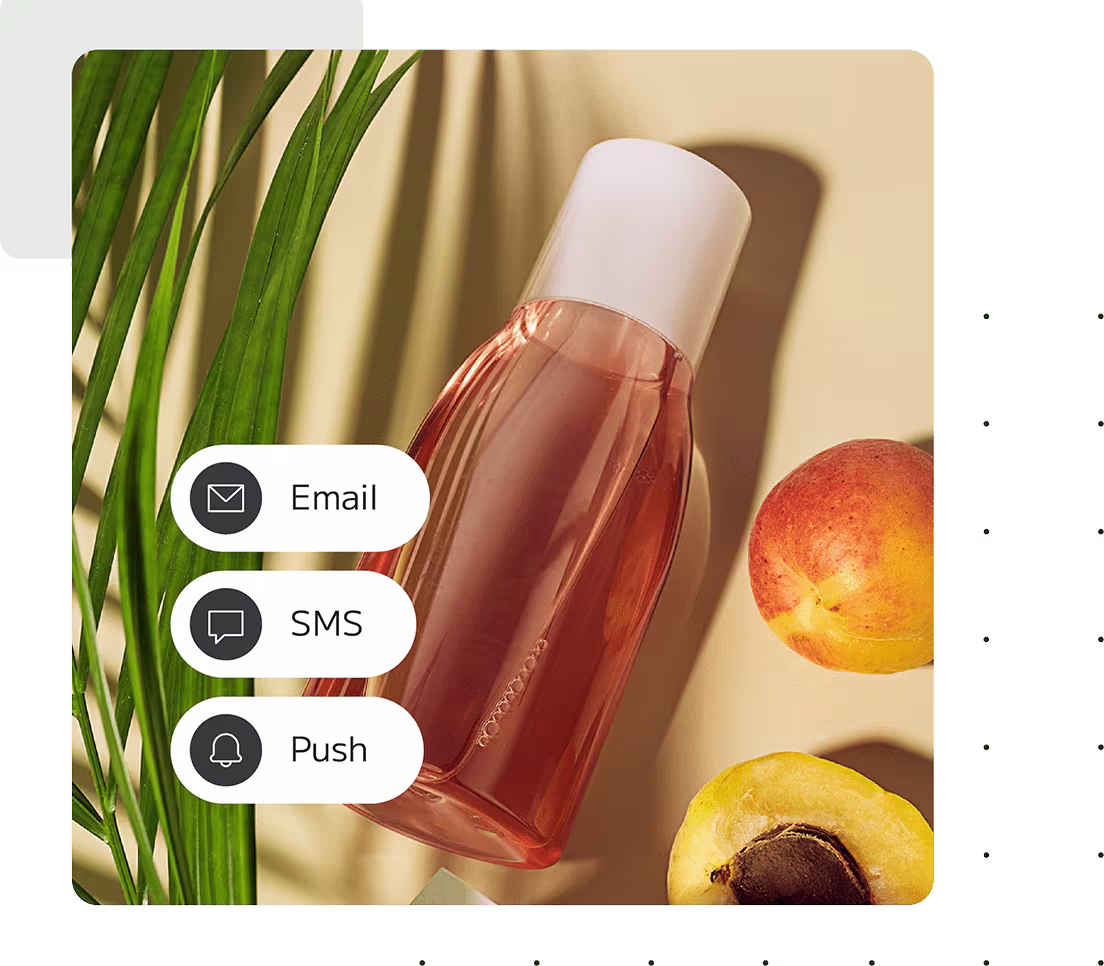 a container of a body wash or similar semi-liquid product. The graphic also shows icons that depict Email, SMS, and Push.