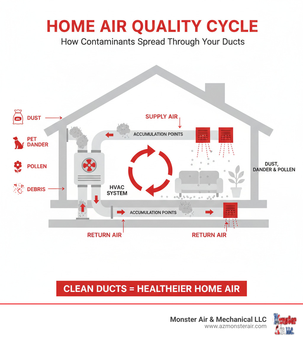infographic showing how dust, pet dander, pollen, and debris accumulate in home ductwork and circulate through the HVAC system into living spaces, with arrows indicating air flow patterns and buildup points in supply and return ducts - ac duct cleaning company infographic 