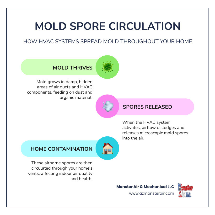 infographic explaining how mold spores circulate through a home's HVAC system - air duct mold removal tempe infographic infographic-line-3-steps-colors