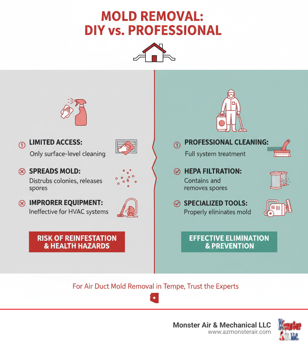 table comparing DIY vs professional mold removal - air duct mold removal tempe infographic 