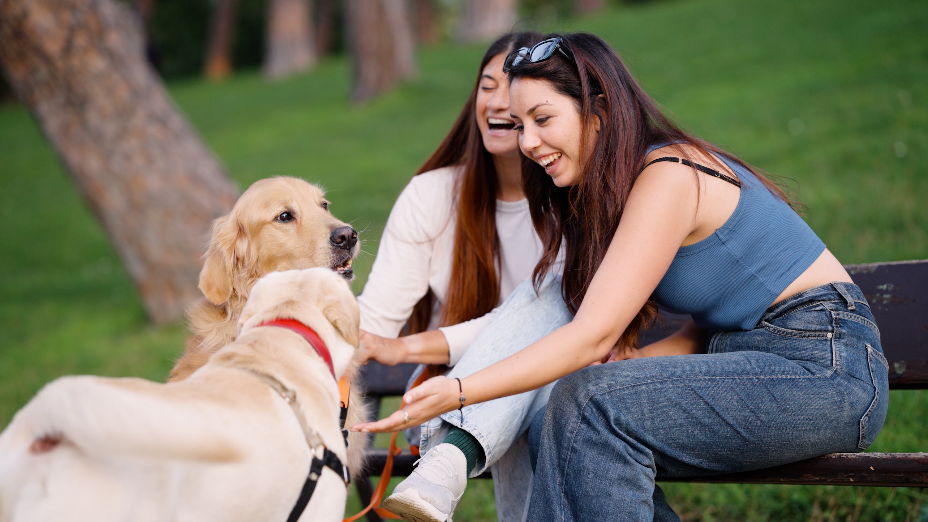 Residents smiling and petting dogs on a park bench near The Eleanor Daytona Beach in Daytona Beach, FL.