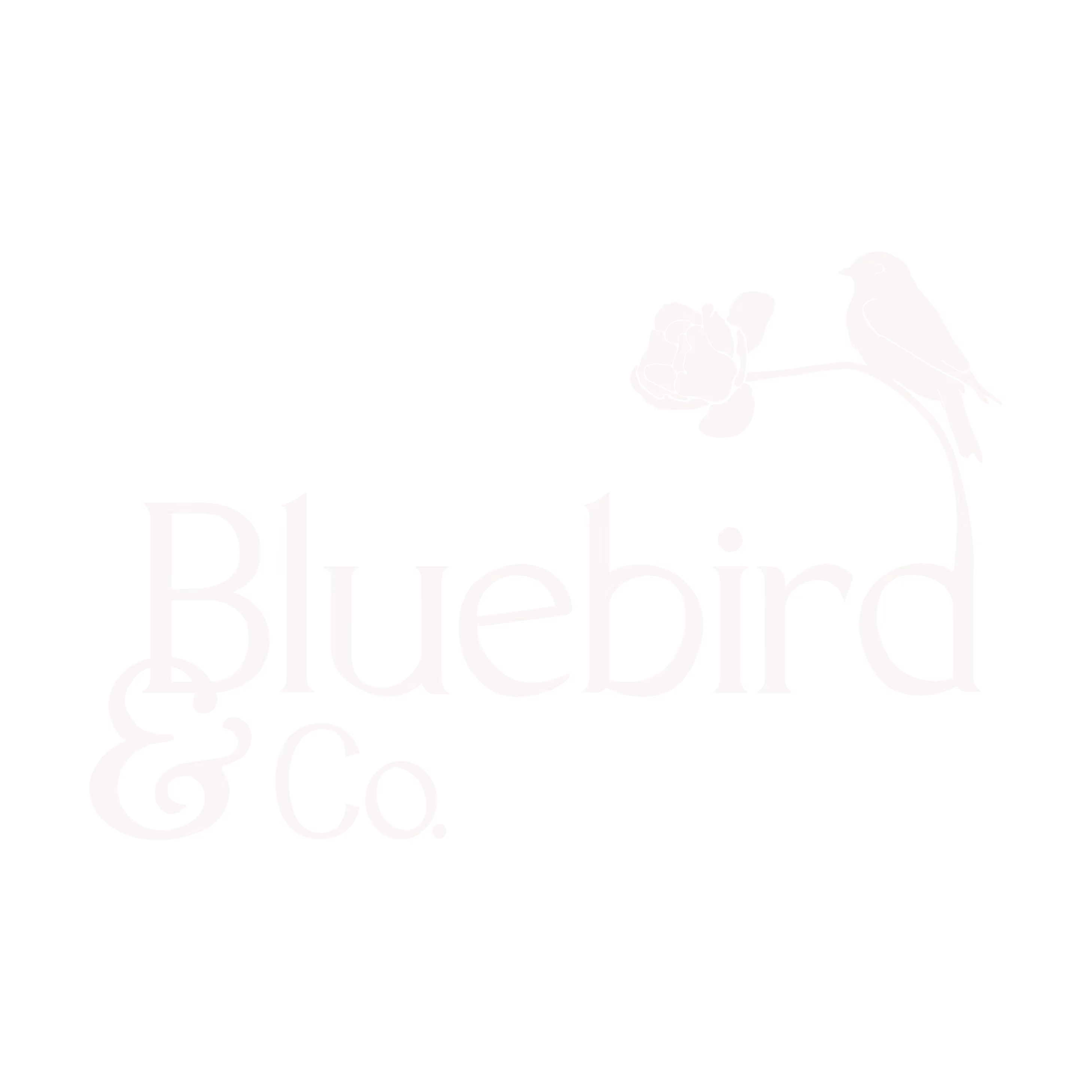 Bluebird & Co. logo.
