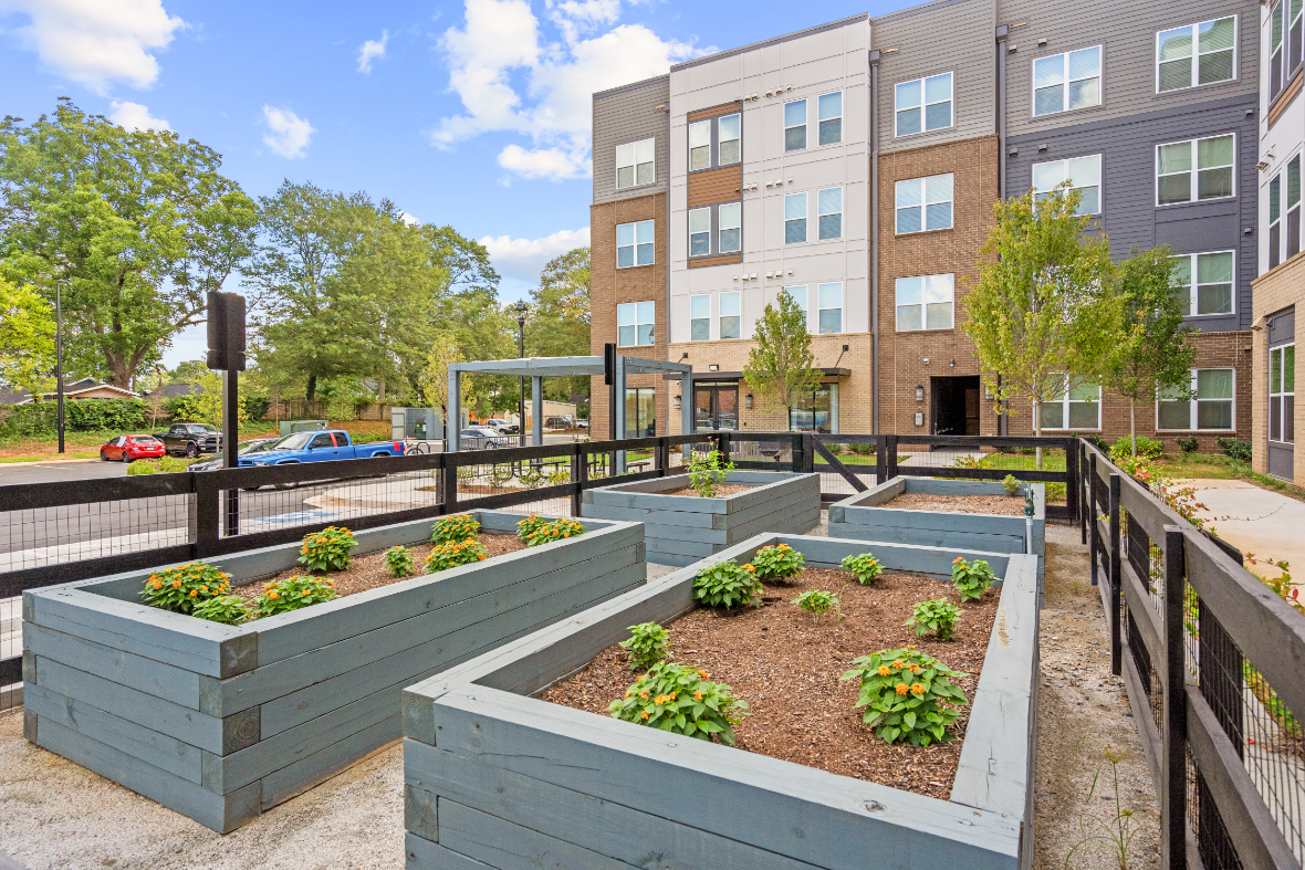 Raised beds in community garden area