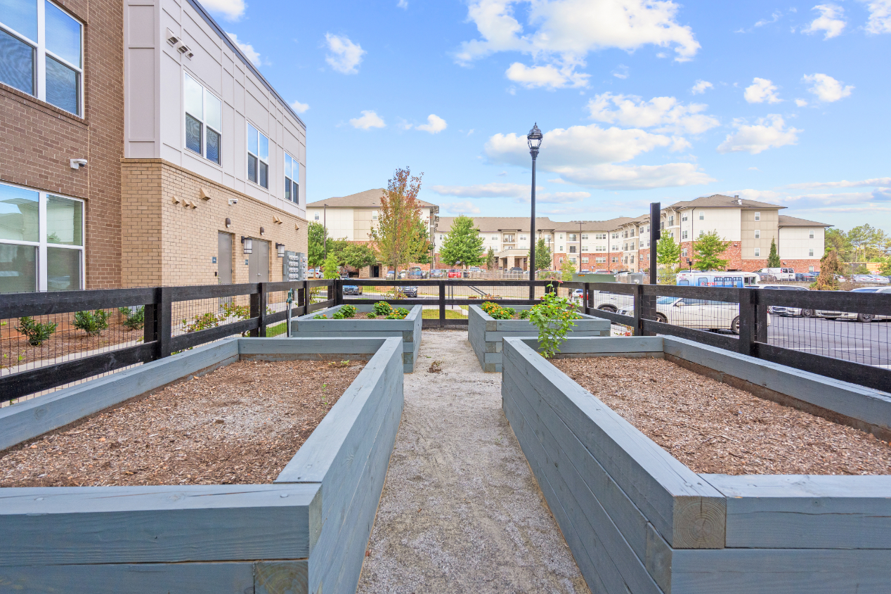 Raised beds in community garden area