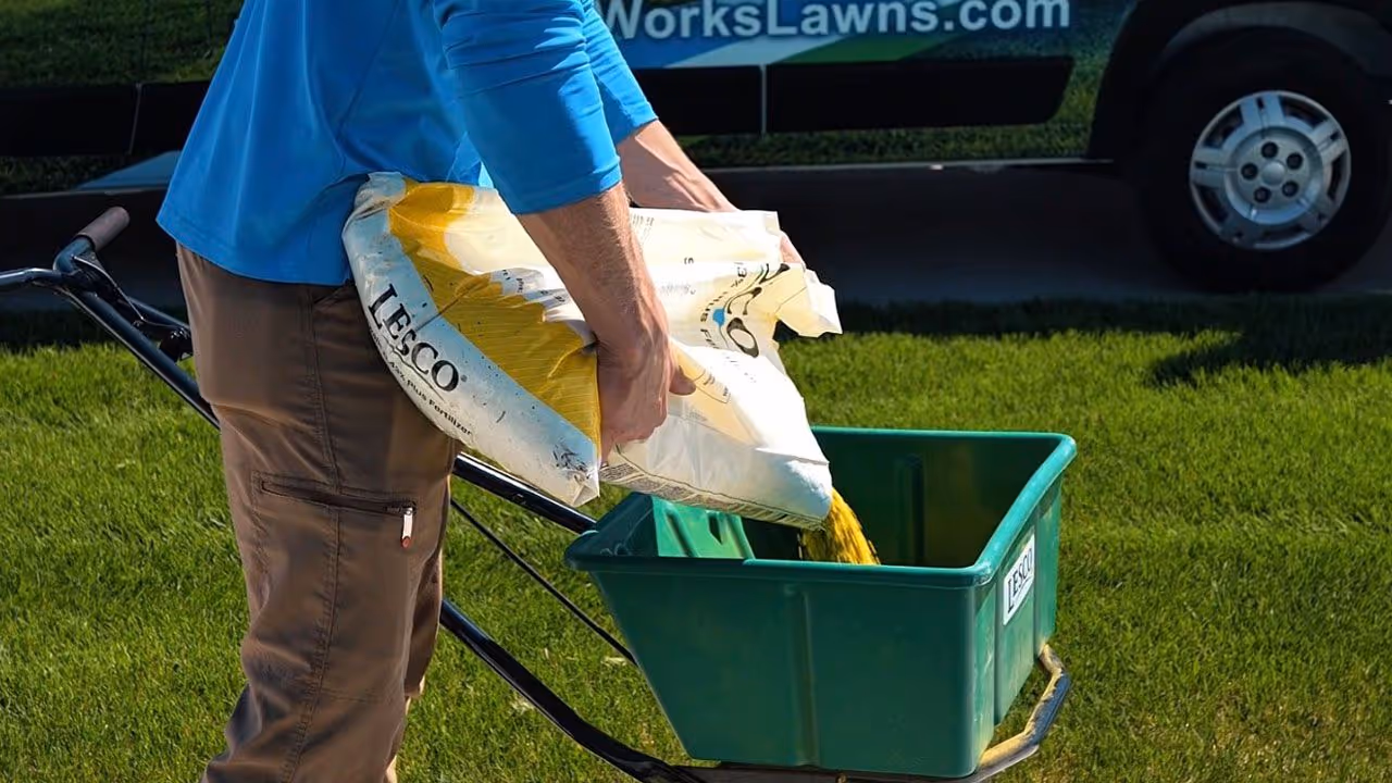 Best fertilization and weed control practices for a healthy lawn near me by Ground Works Lawncare and Landscaping