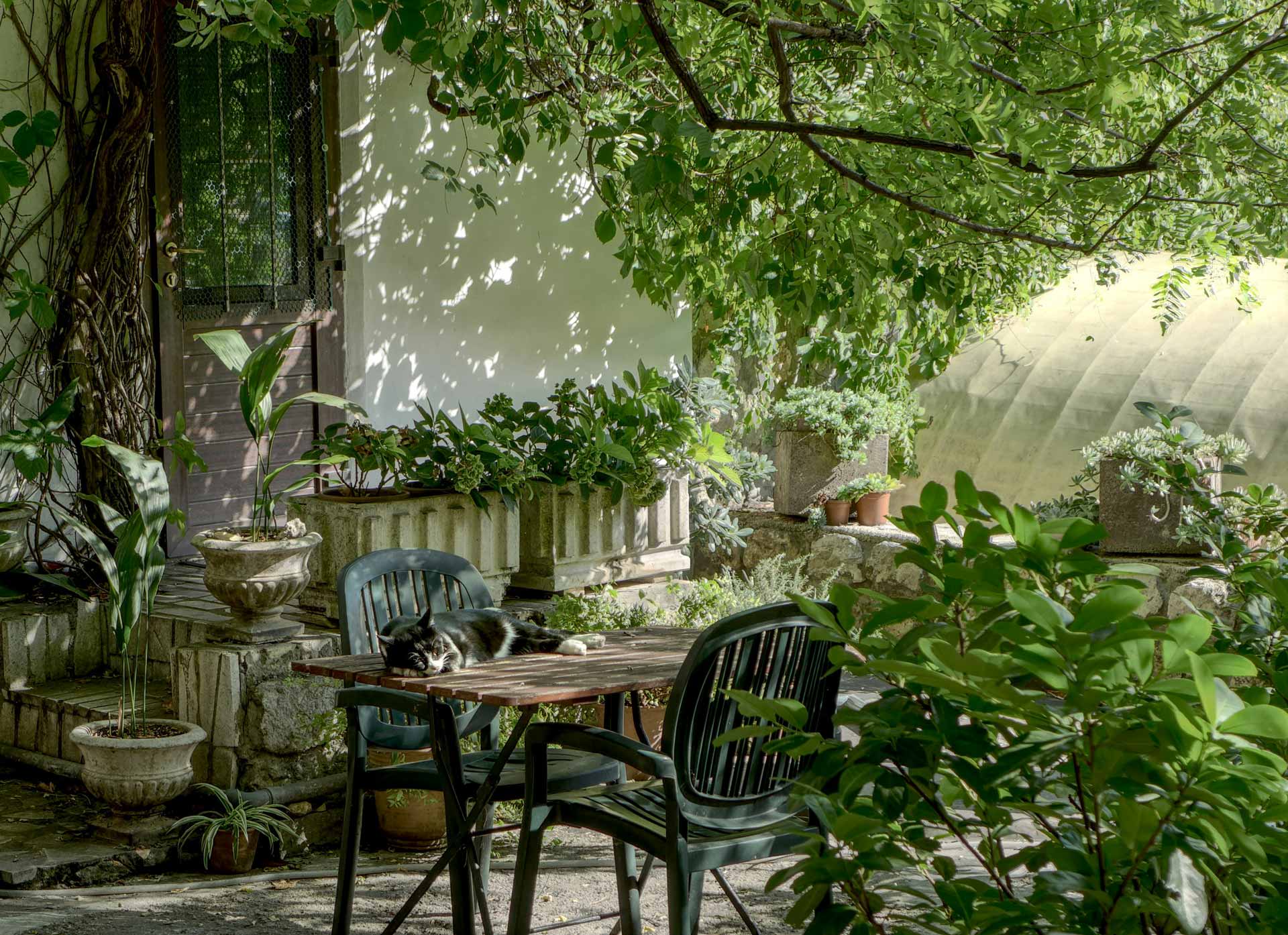 A patio with a table, chairs and potted plants.