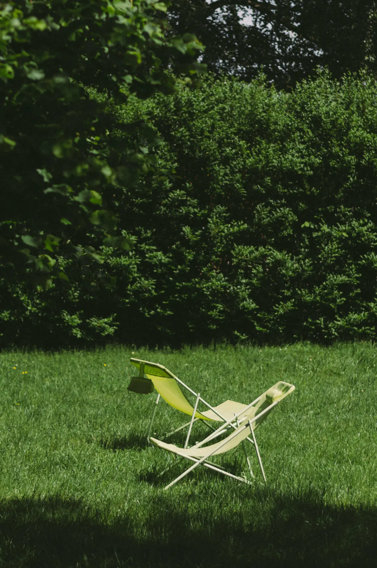 Lounge chairs in the garden