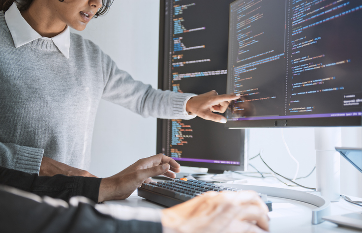 Technische Fachübersetzung: Zwei Fachleute analysieren Quellcode am Monitor