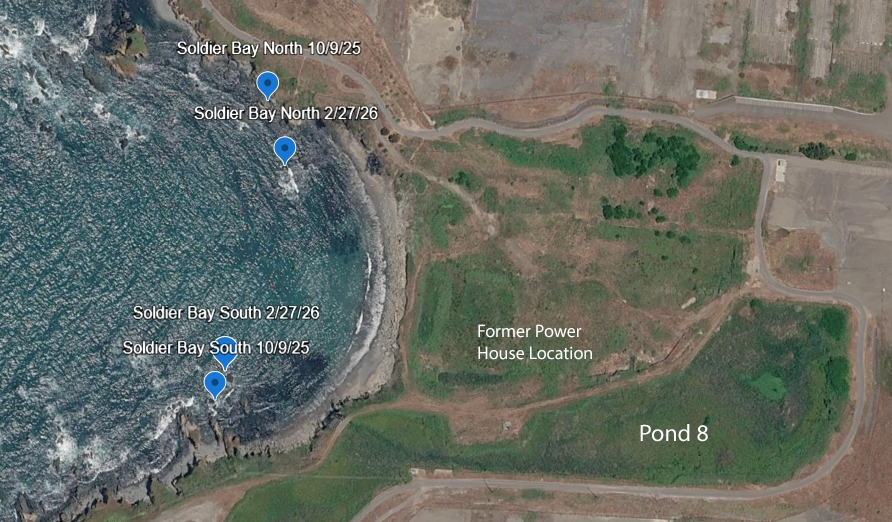 Google Earth picture of Soldier Bay showing sampling locations.