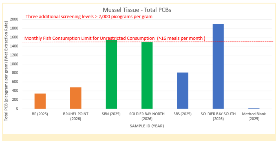 Graph of total PCBs from all three sites and two sample periods.