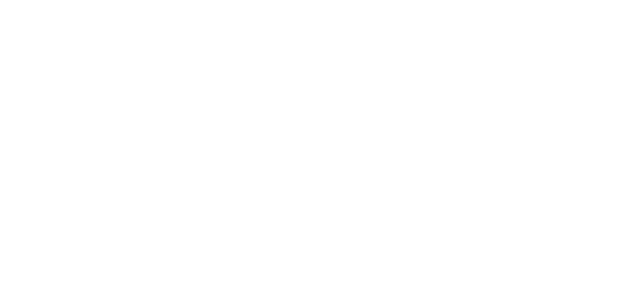 Fortune Group Logo