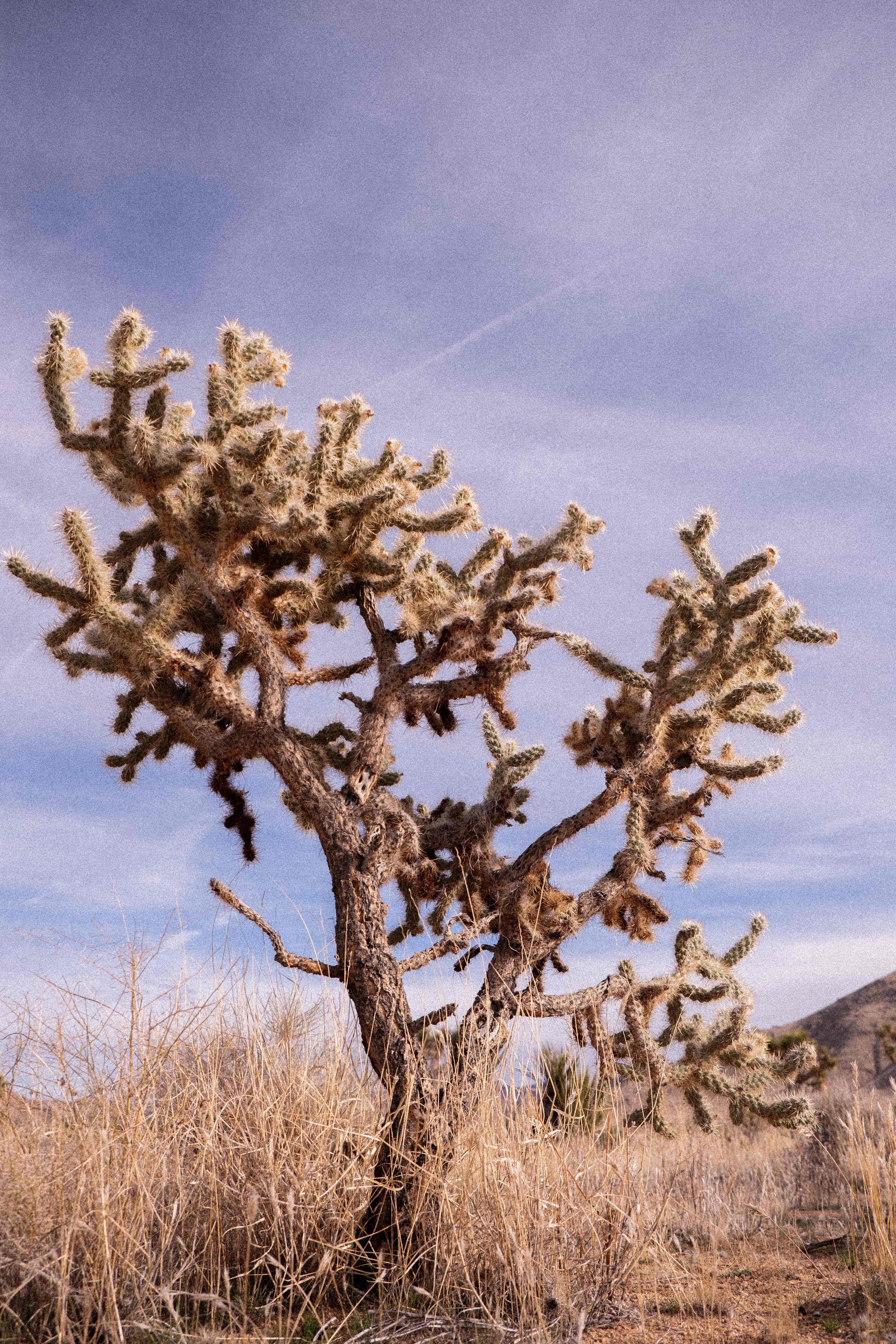 Mountain landscapes photograph