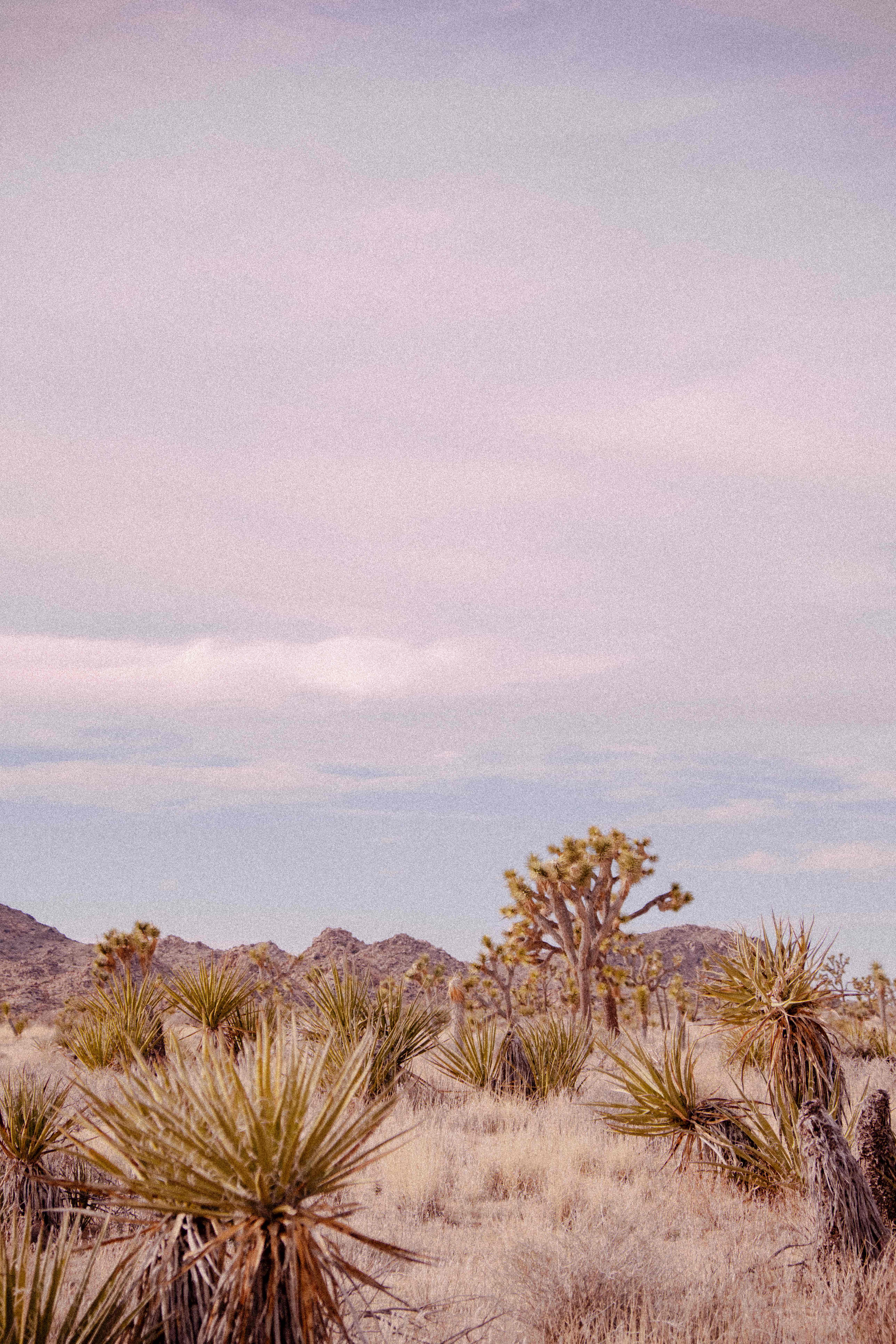 Mountain landscapes photograph