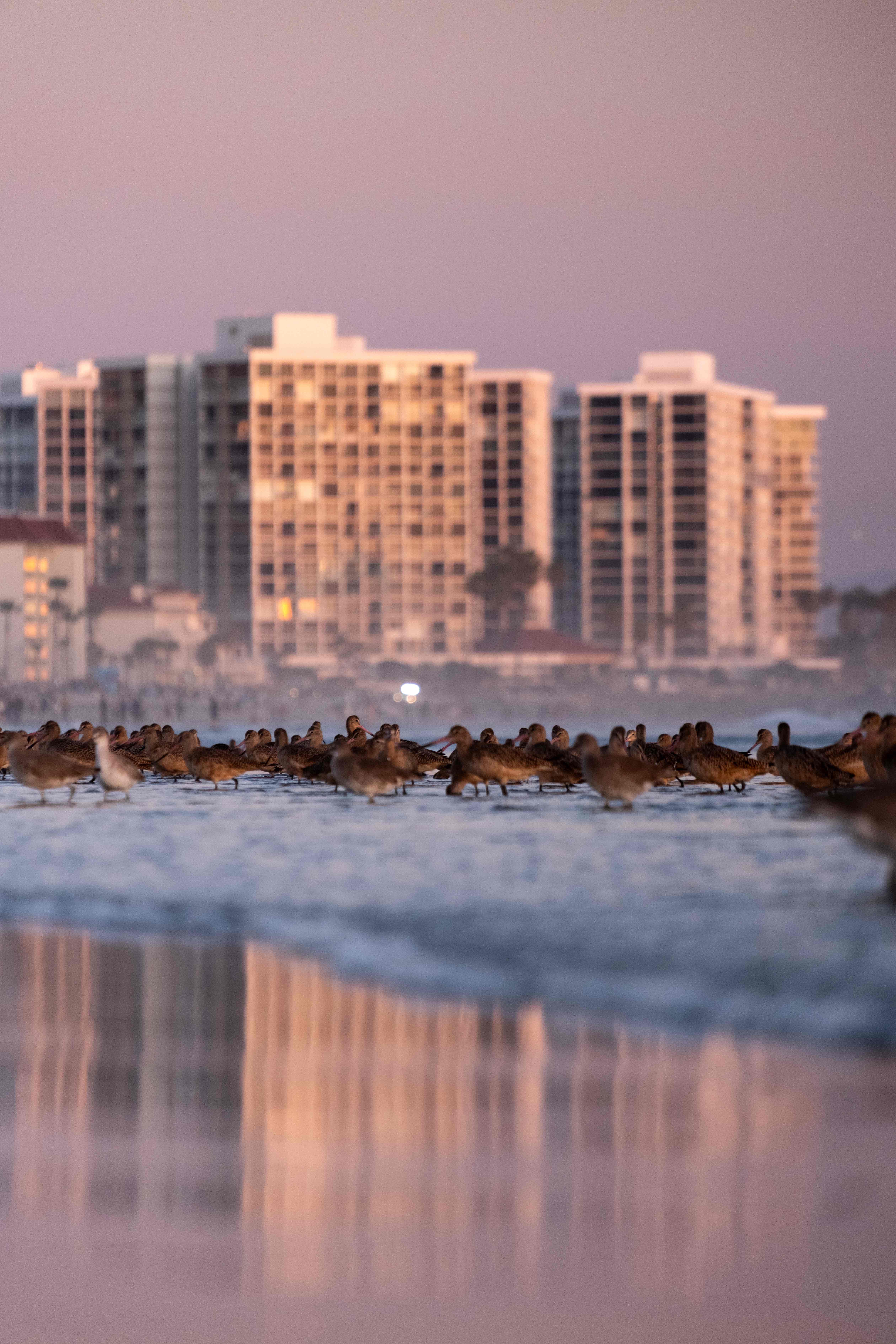 Coastal landscapes photograph