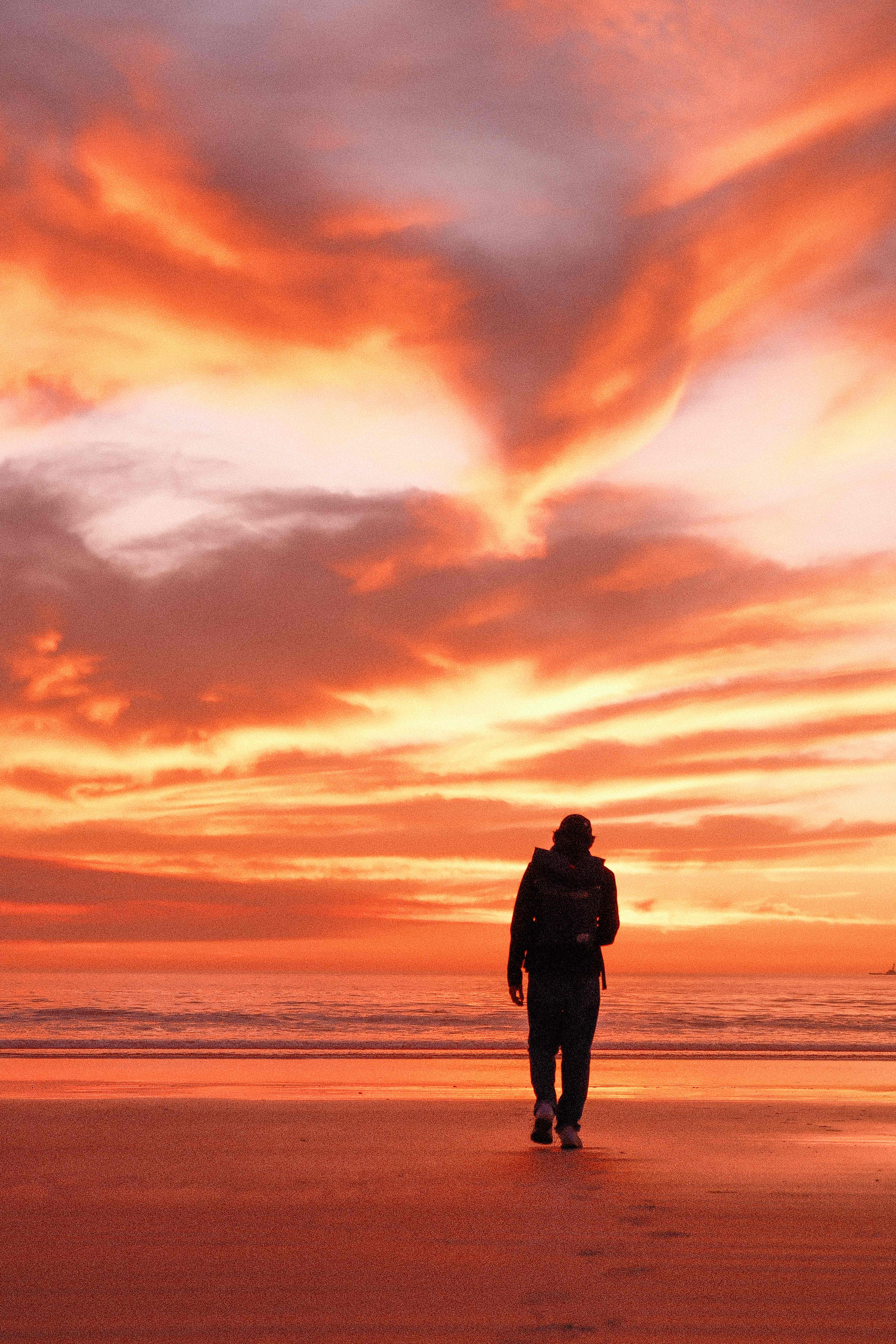 Beach silhouettes photograph