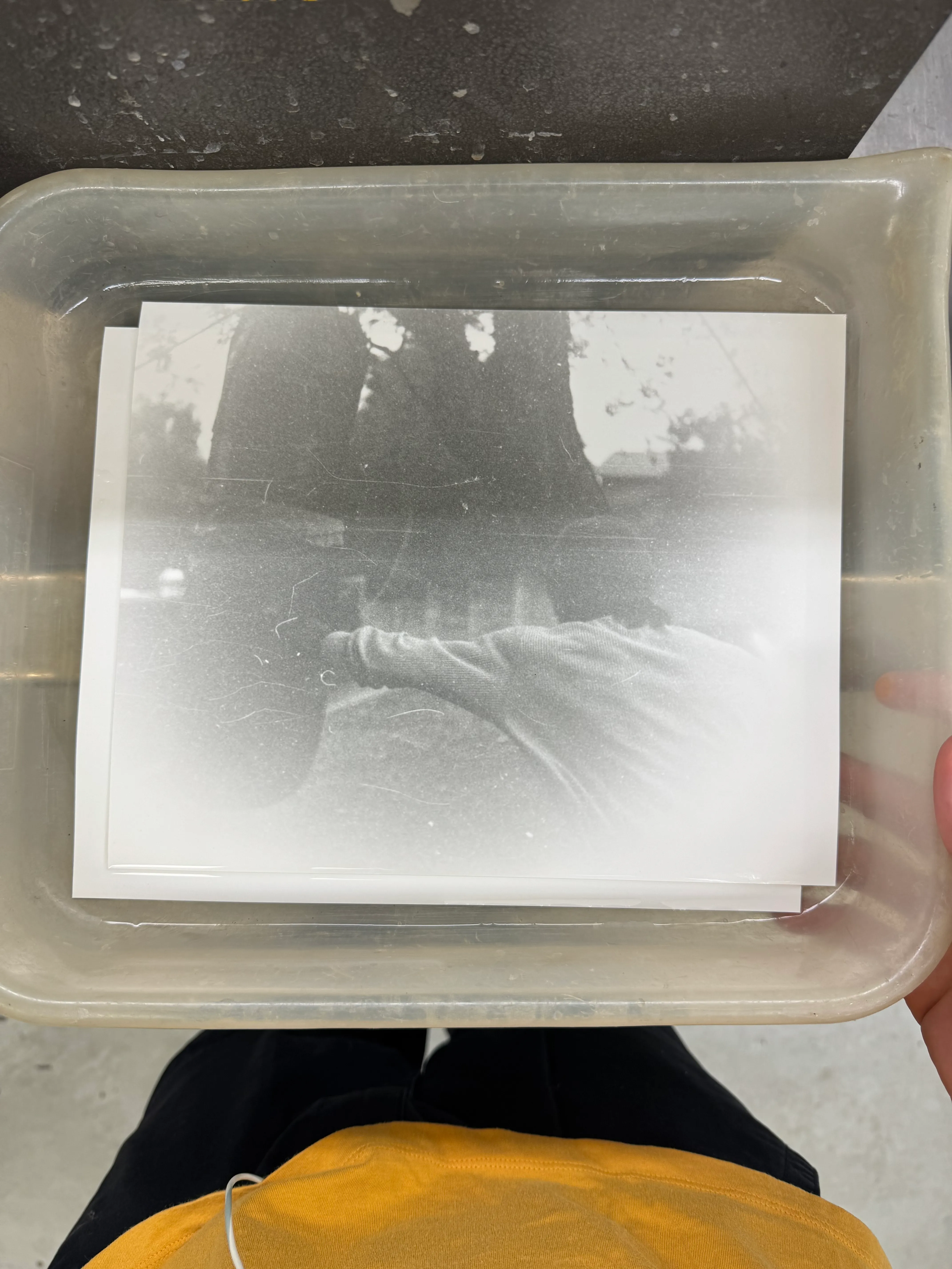 Darkroom process study