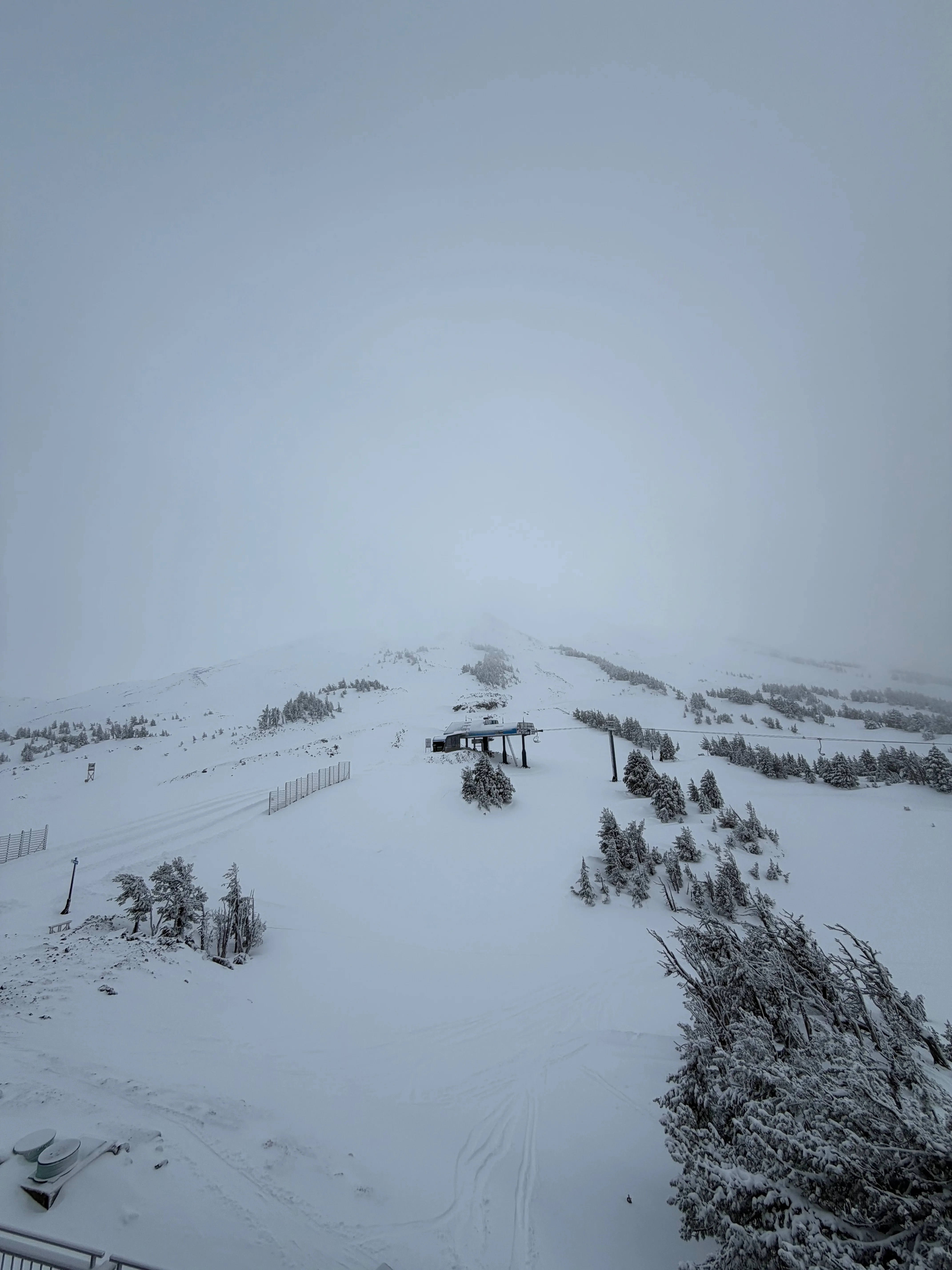 Skiing, Powder photograph