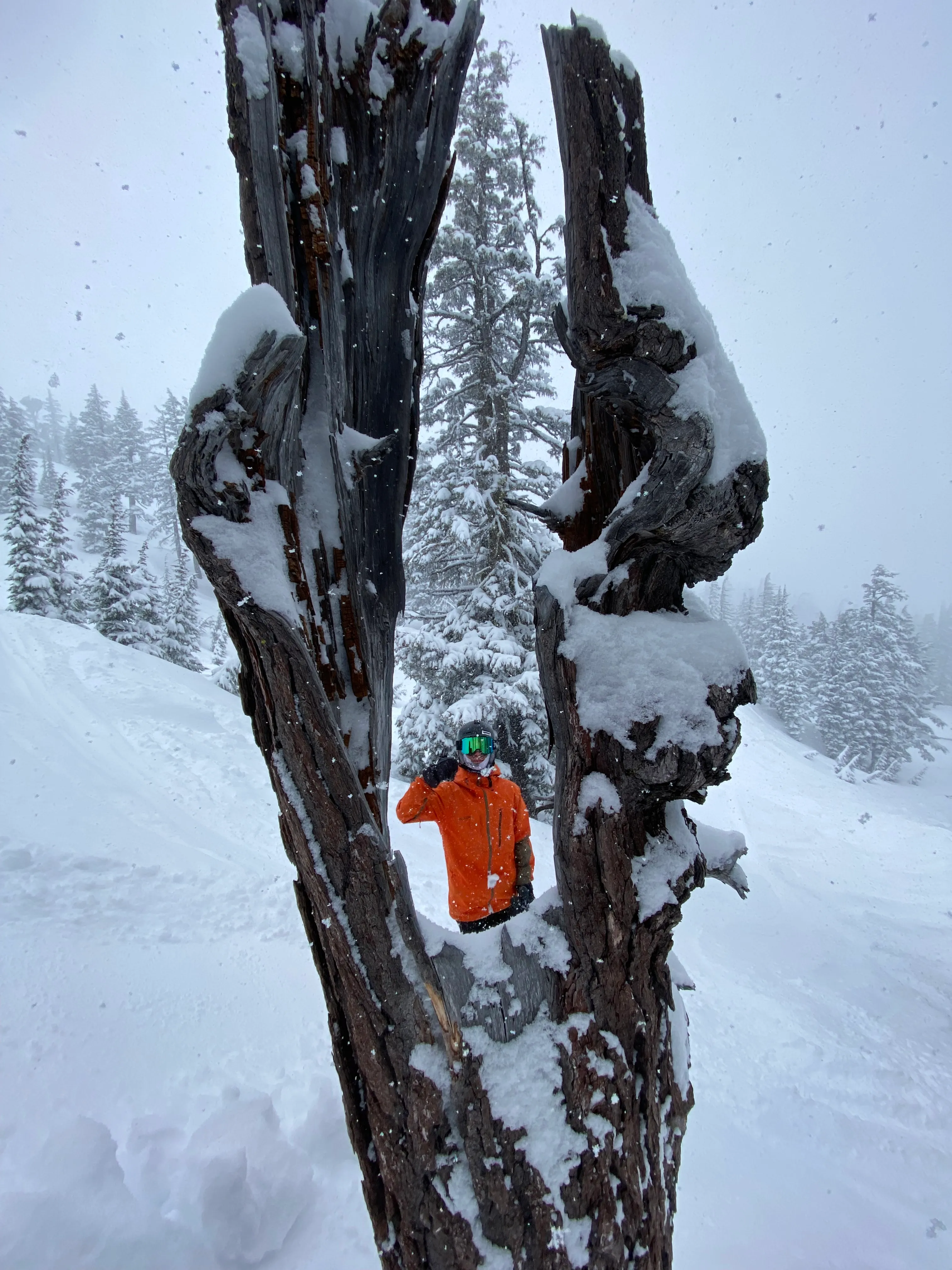 Mountain snow photograph