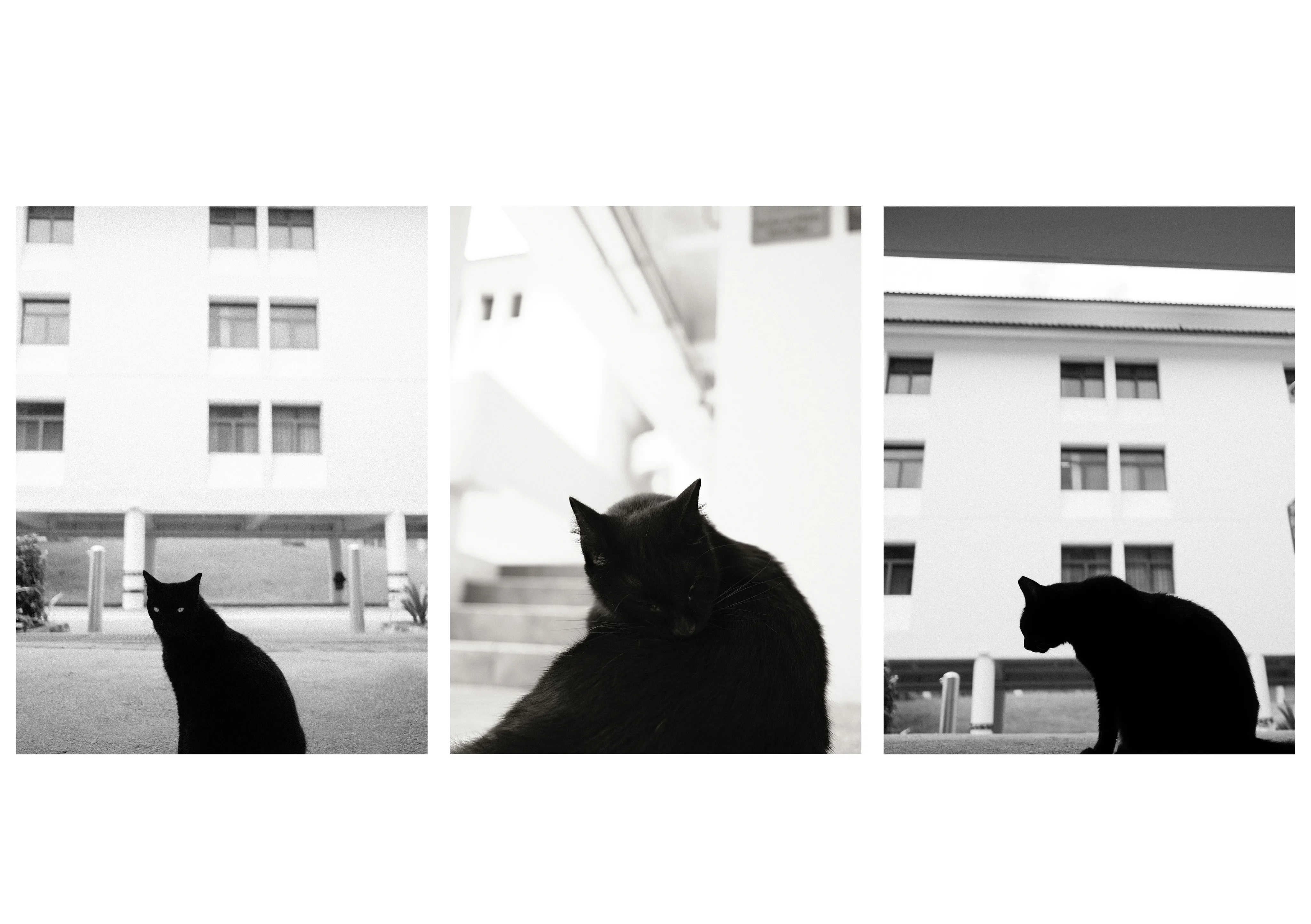 Photography studies study
