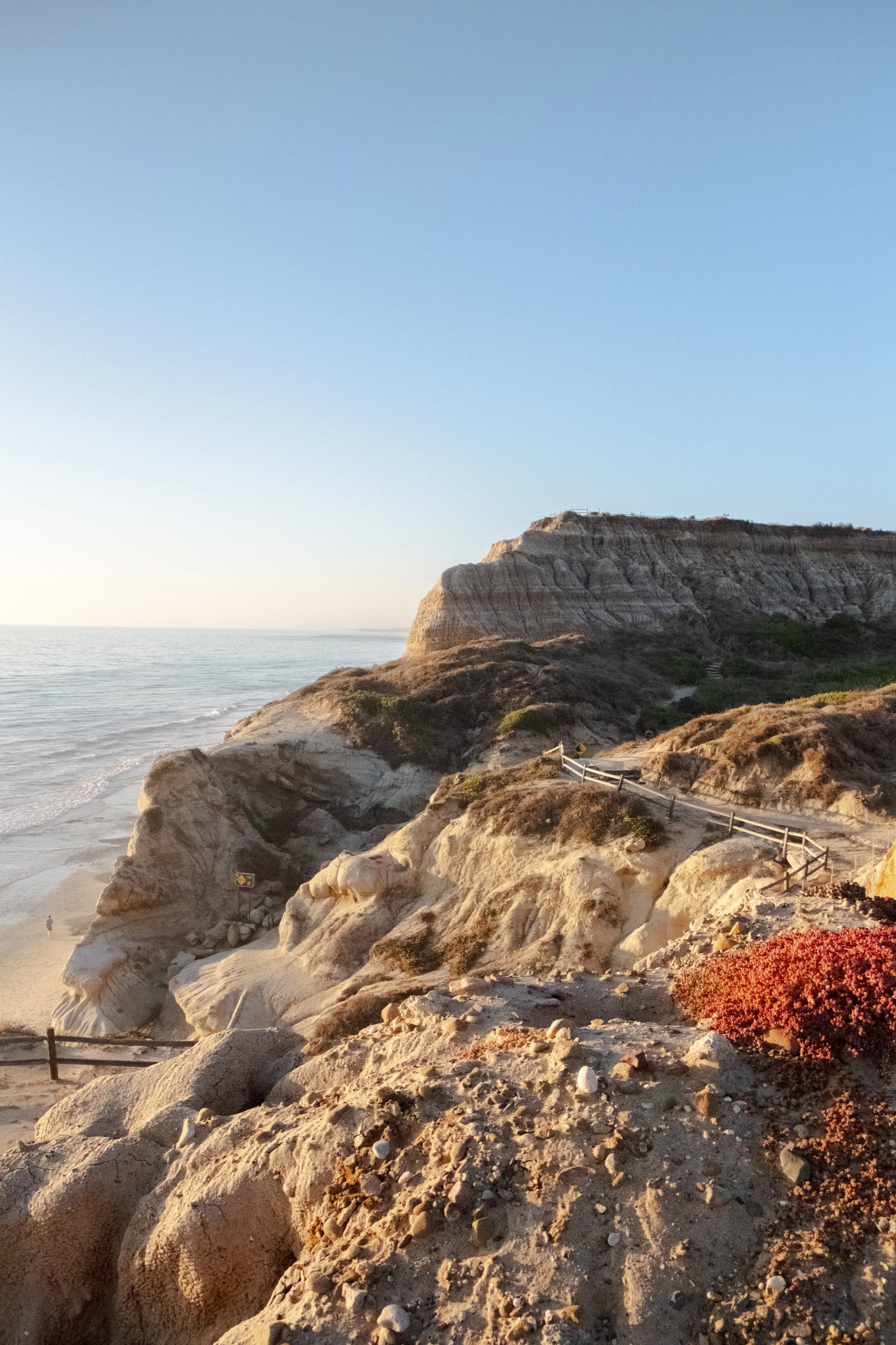 Sandstone bluffs and rare pines at Torrey Pines in San Diego