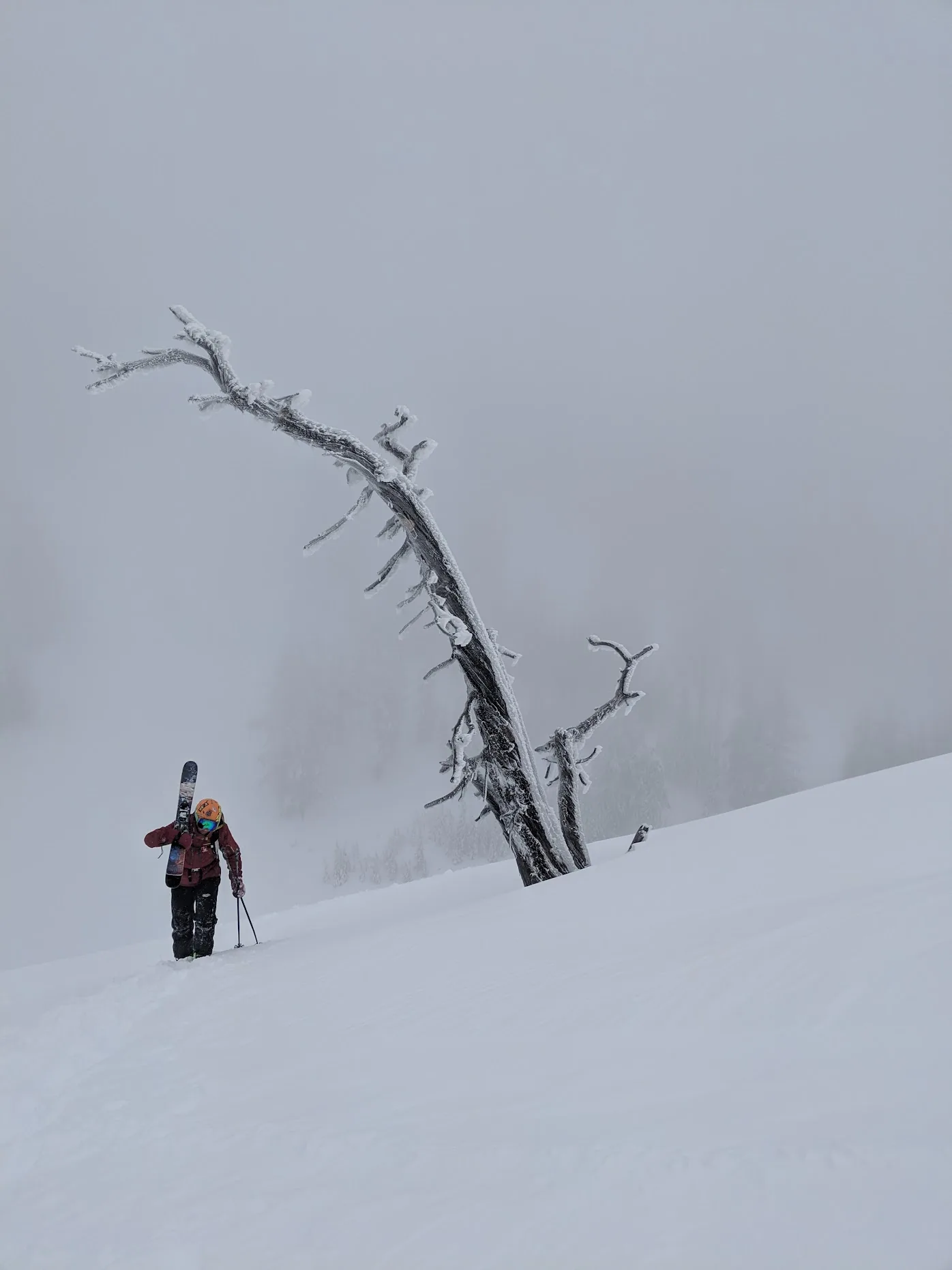 Skiing, Powder photograph