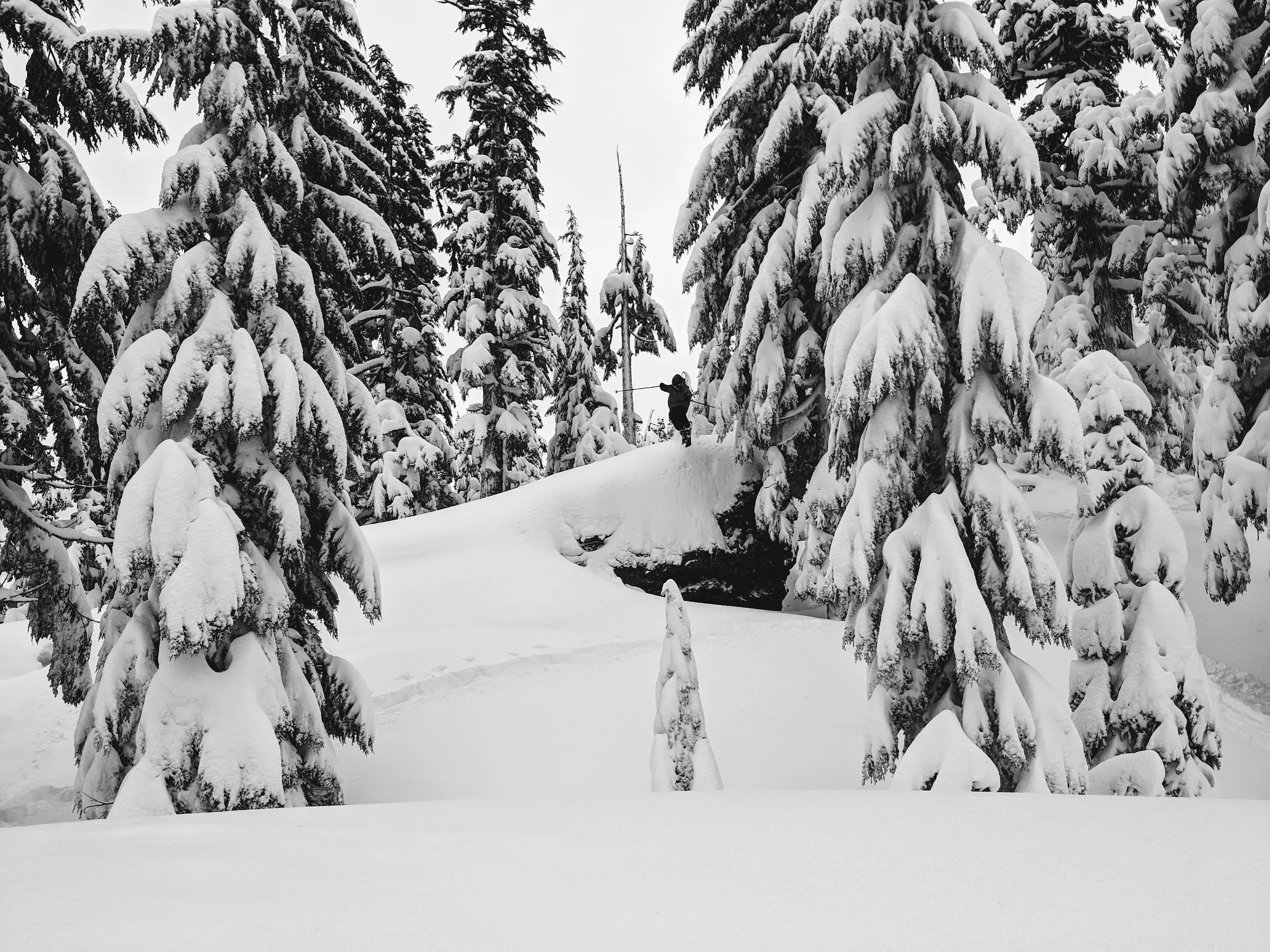 Skiing, Powder photograph