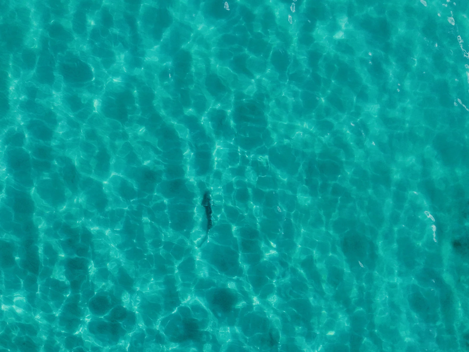 Overhead drone photograph of turquoise ocean water and rippled sand