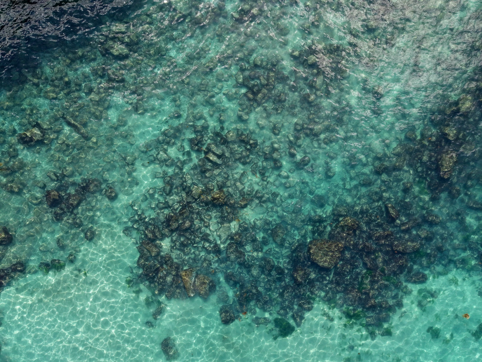 Aerial view of rocky seabed beneath clear ocean water
