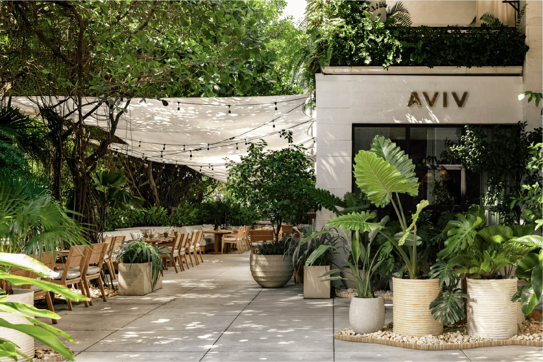 AVIV outdoor patio, surrounded by verdant plants