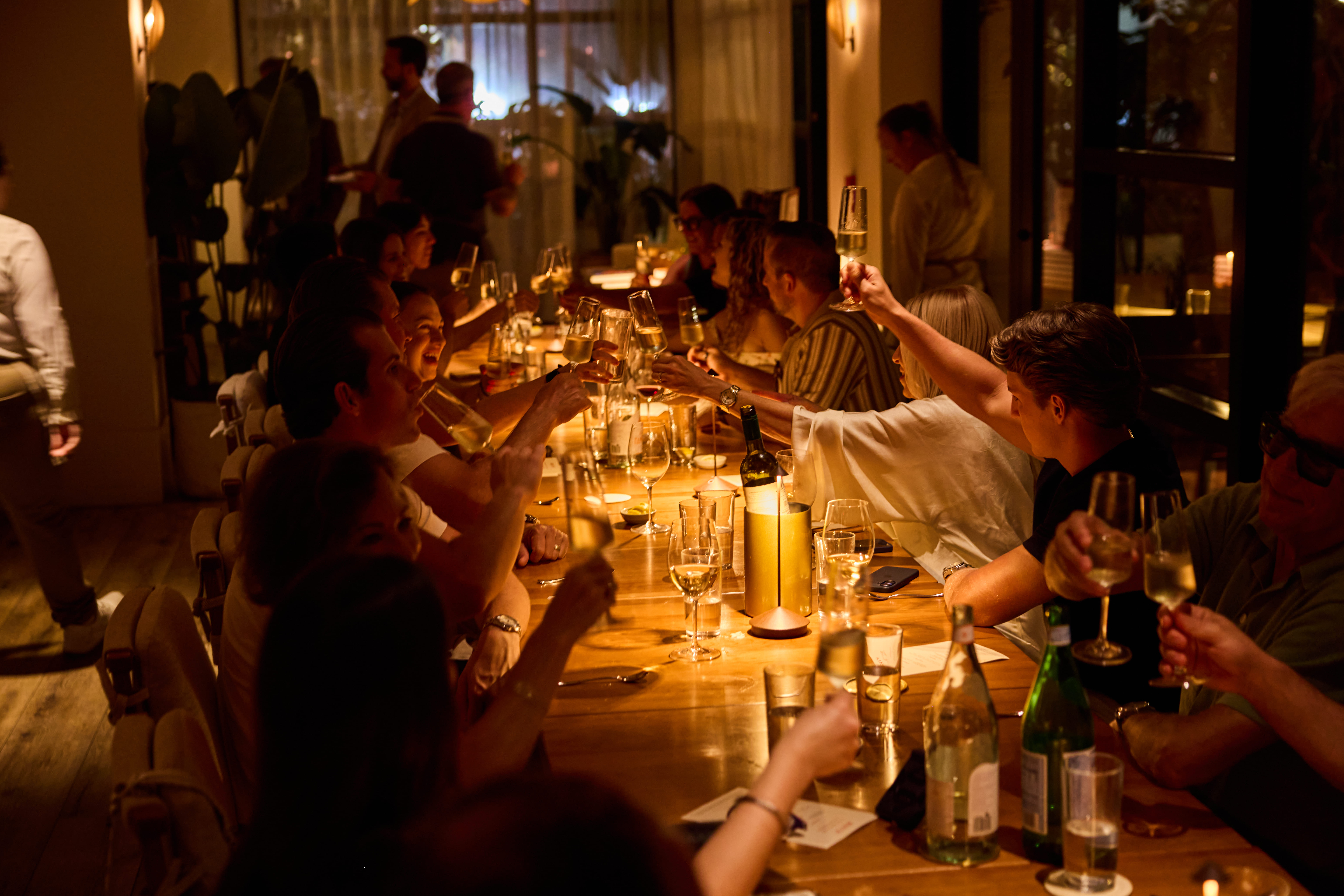 Guests raise their glasses in a toast during a lively group dinner at AVIV.
