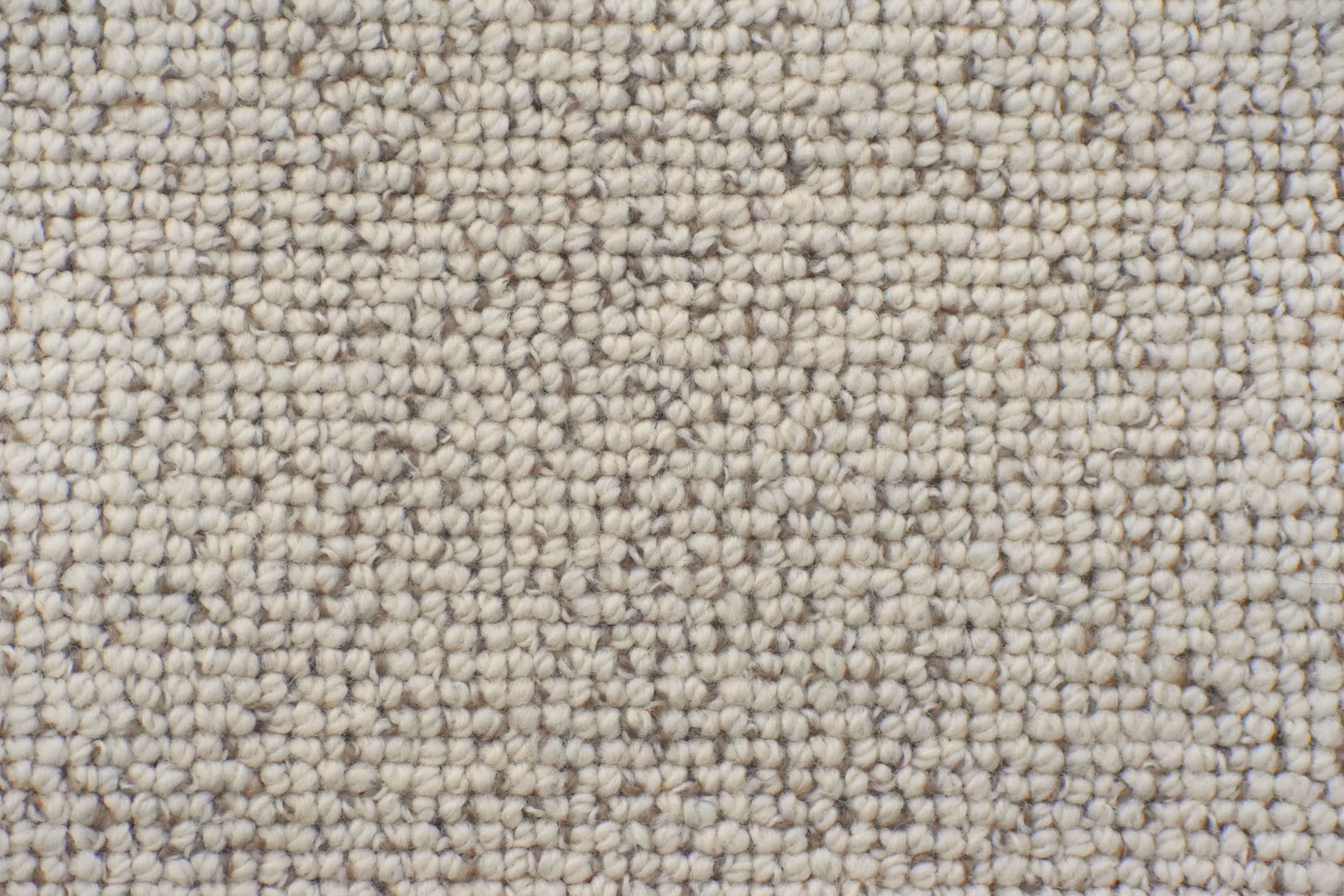 Noosa Texture 01