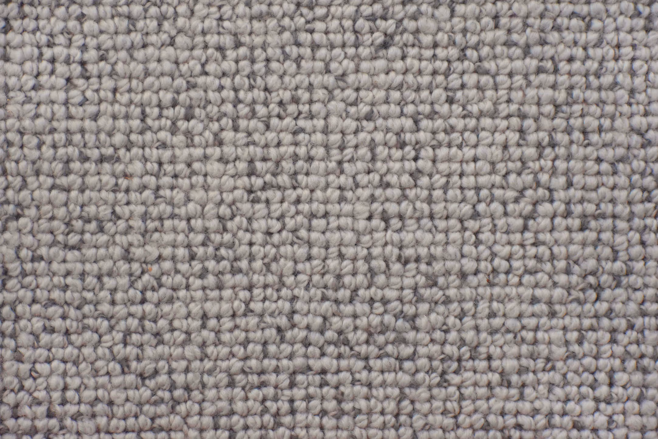 Noosa Texture 02