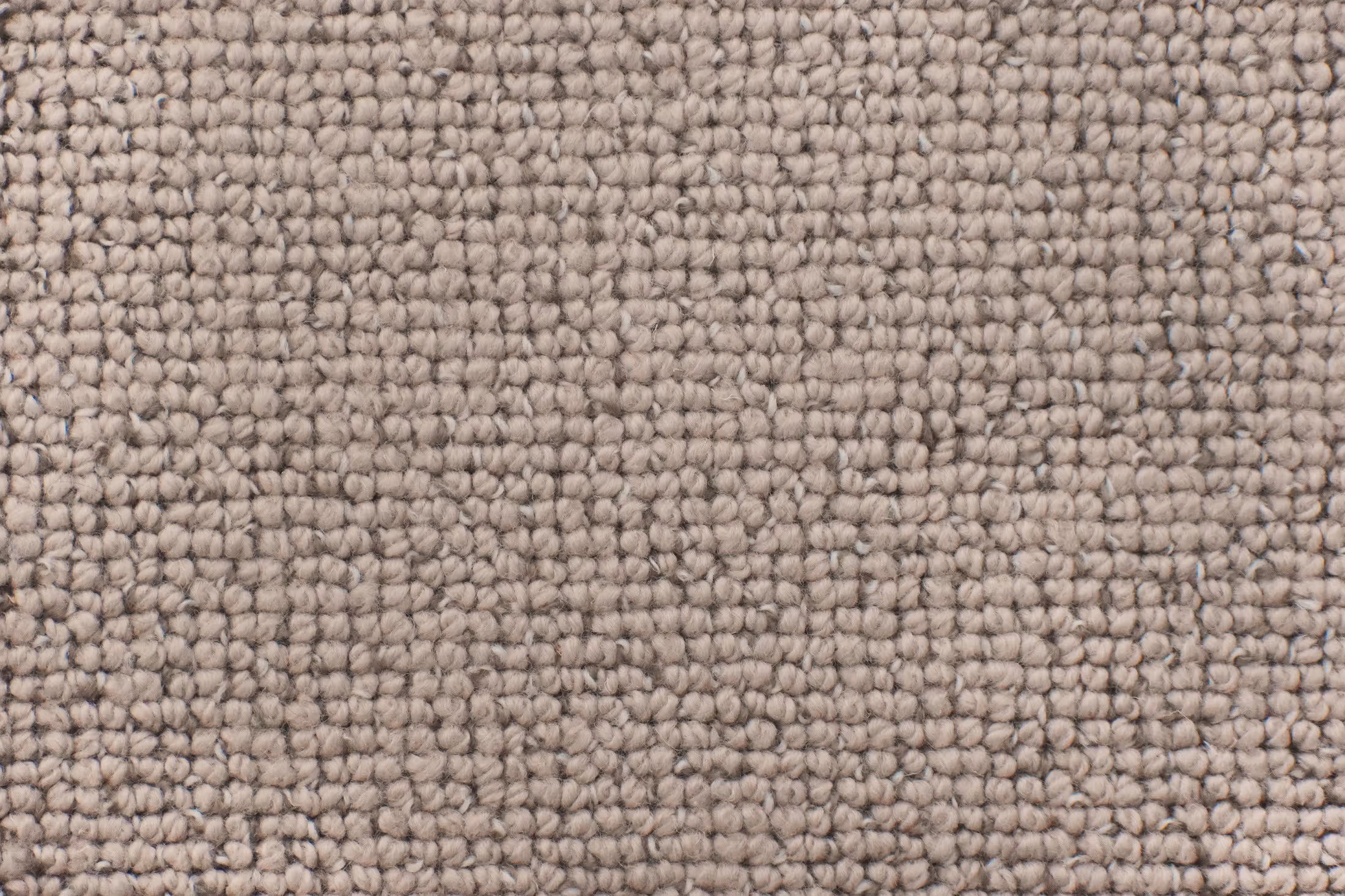 Noosa Texture 03