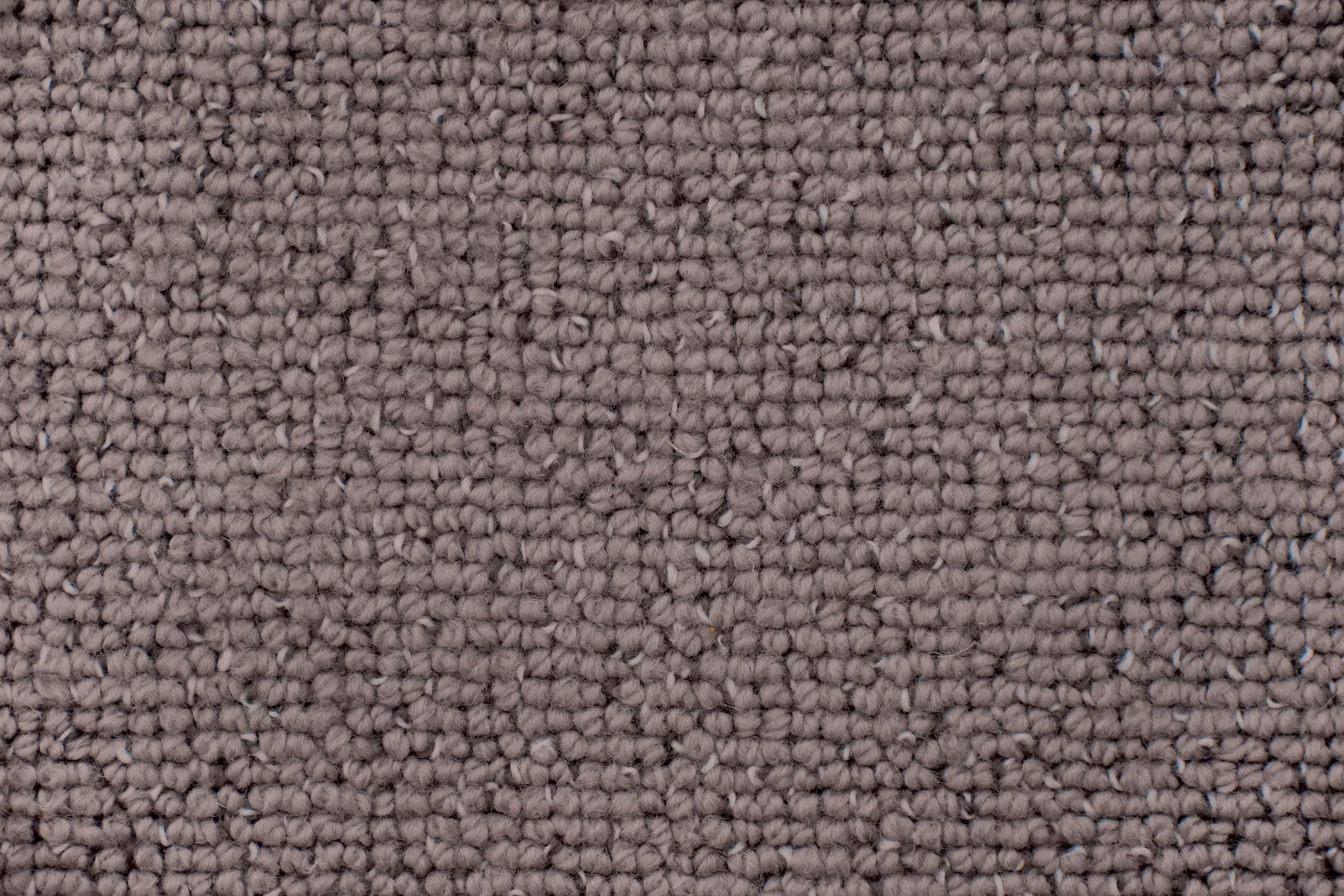 Noosa Texture 04